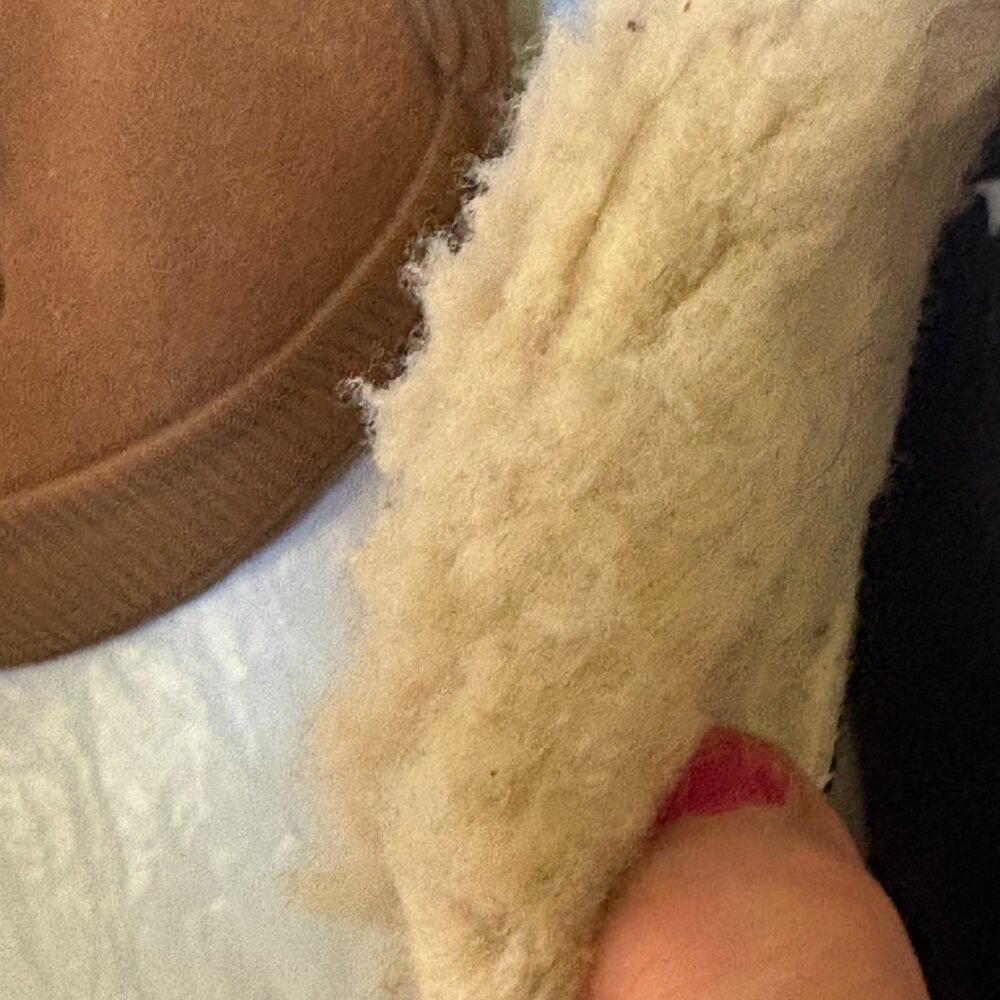 Sorel  Woman Sz 7.5  Cozy   Tawny Buff Suede Wedge Ankle Boots Shoes Camel $159 - Picture 4 of 7